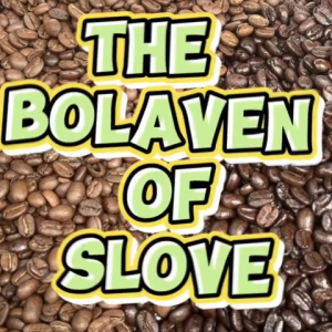 เมล็ดกาแฟลาวอราบีก้า100%The Bolaven of Slove
