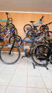 Garuda Race 700c Fixed Bike and Bags and Back Hangers