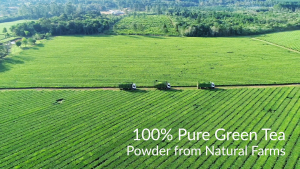 iMATCHME Organic Matcha Powder Advanced Matcha Green Tea Powder Support Digestive Health Double Rich Matcha Pure Unsweetened Low Carb Approved