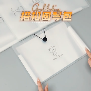 Expand Folder A4 Expending File Holder 12 Pockets Transparent File Organizer with Botton for Office School