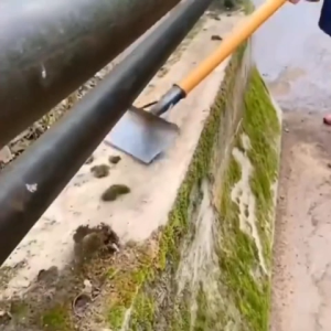 Sekop Pembersih Taman & Alat Penyiangan Kebun