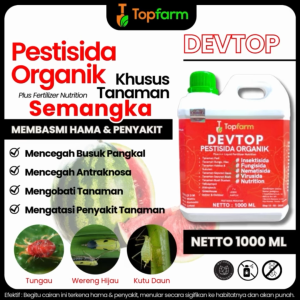 Obat Hama Ulat Tanaman Semangka & Cara Menggunakannya