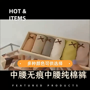 6PCS/1Boxed panty for women Lace mid waist solid color comfortable seamless panty