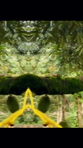 [SAMLEE M2222] Spider Rope Hanger Stainless Steel with 6meter pole Stainless Steel dengan Tiang [Heavy Duty]