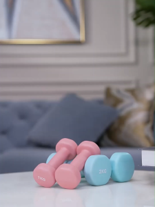 eBuy ดัมเบล Dumbbells สำหรับลดไขมันต้นแขน ออกกำลังกาย ฟิตเนส 1/2 Kg. 1 ชิ้น