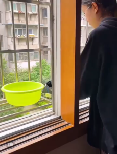 Shoe Rack Multifunctional Drying Rack 10pcs Drying Shoe Rack Shelf Space Saving Storage Organizer