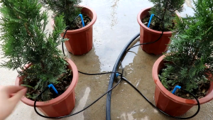 ระบบน้ำหยด4ทิศทาง 2L4L8L ระบบจ่ายน้ำหยดไมโครโพลว์ สำหรับการประหยัดน้ำชลปะทานเรือนกระจก 1ชุด