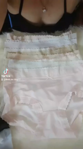 QUẦN LÓT NỮ CHẤT LỤA BĂNG CAO CẤP RẺ ĐẸP VÀ THỜI TRANG LƯNG CAO ÔM NHẸ CƠ THỂ GIÚP THON GỌN BUNG CỰC KỲ TÔN DÁNG (MẢ 2955)