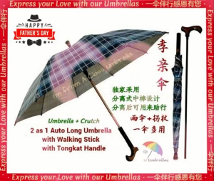 2 as 1 Multifunctional Separable Umbrella Cane Stick - Silver UV