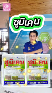 ยาคุมหญ้า ซูมิเคน ฟลูมิออกซาซิน สารกำจัดวัชพืช คุมได้ดี คุมได้นาน ใช้ได้ทั้งในไร่มัน และ อ้อย ฉีดพ่นตอนพืชยังไม่แตกก่อ