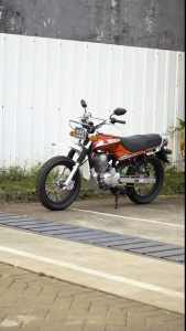 STRIPING STICKER LIS LES POLET Custom Variasi Honda Win 100 Silver Abu stiker list body standar berkualitas terbaik