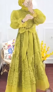 Fc Dunia Gamis / Gamis Organza / Gamis Muslim Wanita / Pakaian Muslim Wanita