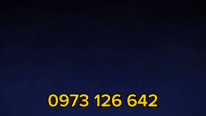 Găng Tay Bảo Hộ Lao Động Phủ Plastic 688 Găng Tay 688