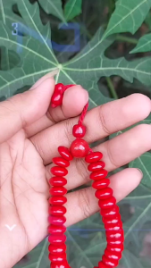 Gelang Tasbih Batu Koral Marjan Isi 33 Butir