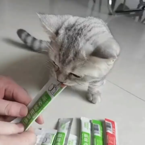 Snack Kucing 16g: Pilihan Terbaik Untuk Kucing Kecil & Dewasa