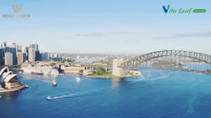 Detoxfastz colon Vita Leaf bcalivinghcm thực phẩm bổ sung enzyme và vitamin chất dinh dưỡng