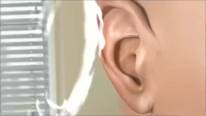 KOYO perawatan Tinnitus 12 buah stiker untuk nyeri telinga plester medis ekstrak Herbal alami