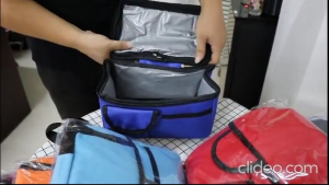 Breast Milk Storage Bag Double Layer Hot Cold Baby Bag Thermal Food Picnic BEG SIMPANAN SUSU