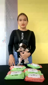 PET RECORD Grooming Essentials - 10 Pack Deodorizing & Antibacterial Dog & Cat Wipes Alcohol-Free Soft Cleansing Tissues