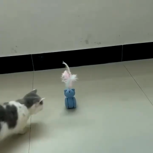 Smart Cat Toy 360 Degree Self Rolling Interactive Toy Teaser Ball USB Charging Hunting Exercise Toys for Kitten Indoor