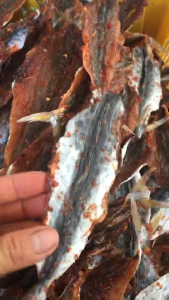 KHÔ CÁ THU CÀ MAU - Lóc Bỏ Xương Nhiều Thịt Vị Vừa Ăn - Vựa Khô Hà Vy