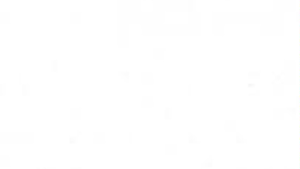 Giường 1m2 có nệm thanh chắn và bánh xe  Cường