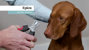 【Limited Stock Available】 Pet Pantry Pet Cat Dog Nail Clipper Nail File Cutter With Stainless Steel Grooming Scissors Clippers for Pet Claws