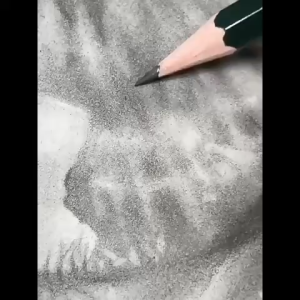 Bút chì than vẽ phát thảo cao cấp Faber-Castell chính hãng