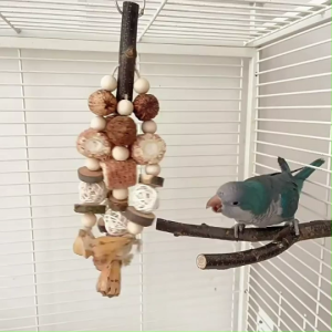 🇸🇬 Bird Chew Toys: Wood Blocks and Nut Chewing Toy for Beak Exercise