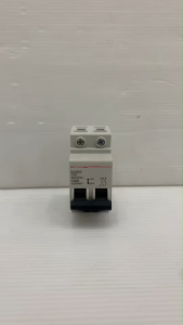 เมนเซอร์กิตเบรกเกอร์  ยี่ห้อSAFE-T-CUT 2P 63A (ราคา/1ตัว)