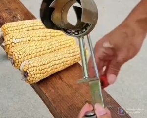 ALAT PEMIPIL JAGUNG / ALAT KUPAS JAGUNG KERING / PEMIMPIN JAGUNG PRAKTIS / PEMIPIL JAGUNG PORTABLE / ALAT