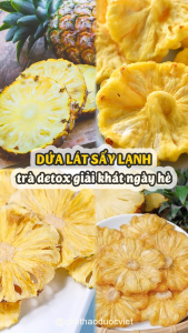 Dứa thái lát sấy lạnh 100g trái thơm detox kiểm soát cân nặng - Chợ Thảo Dược Việt