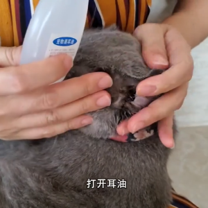 Pet Ear Drop Obat Mata & Telinga Kucing Anjing Anti Belekan