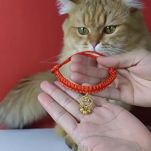 Handmade Pet Dog Cat Lucky Red Rope Collar Necklace Bib Leash Adjustable Golden Collars Neck Accessories