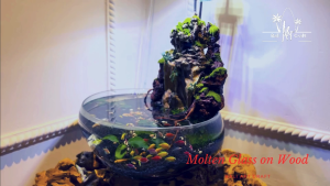 Vas Kaca Mangkuk Unik Ukuran 40cm l Pot Kaca Unik l Kaca Tiup l Hiasan Rumah l Aquarium Hias l Ikan Hias l Promo l Murah l Diskon
