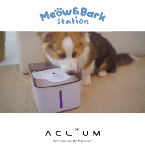Aclium Dog Water Fountain น้ำพุสุนัข