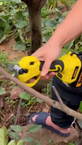 Thân Máy cắt tỉa cành dùng pin Dewalt kéo cắt cây động cơ không chổi than siêu khỏe cho nghề làm vườn cây cảnh