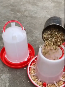 1Pc 1.5kg Automatic Chicken Feeder Bucket Plastic Feeding Tool Chicken Pine Pine Chicken Poultry