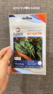 Hạt giống Cải Kale khủng long (Dinosaur Kale) gói 1gr nhập Thái Lan