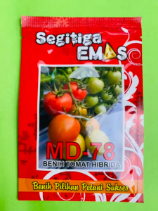 Benih Tomat Hibrida MD-78 isi 5gr dari Segitiga Emas
