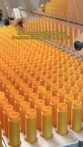 Son Dưỡng Môi Không Màu Burt Bees Hữu Cơ 100% Tự Nhiên Làm Mềm Môi An Toàn Sử Dụng | Nhà Sam