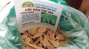100g rễ cây bàn tay ma sấy khô