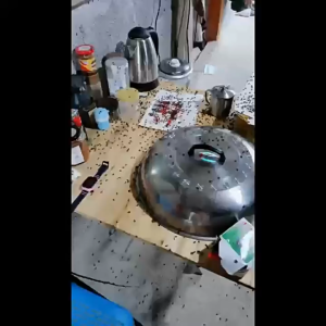 Fly Killer Powder & Cockroach Bait: Effective Pest Control Solutions