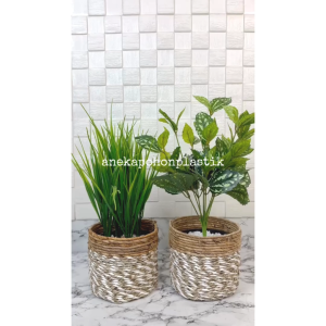 Tanaman Hias Daun Kucai X4 & Tanaman Hias Watermelon Cover Pot Seagrass Coklat Mini Pajangan Meja Aesthetic