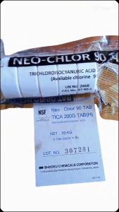 Chlorine Tablets Japan NEO-CHLOR 90% BRAND Japan (1KG/5PCS) Swimming Pool