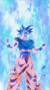 KIZARU Kaos Anime Dragon Ball KAMEKAMEHA