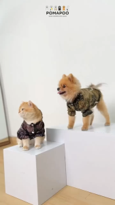 POMAPOO - Baju Kucing dan Baju Anjing Ajeng Batik Blouse