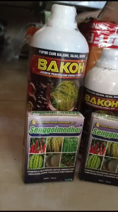 SENGGOL MODOT 150 gr Pupuk Cu Organik Booster Buah Hormon Tanaman Kerdil Zpt Cepat Tumbuh