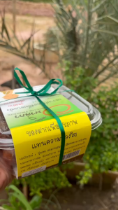 มะขามป้อมแช่อิ่มลูกใหญ่ ออแกนิค พร้อมเสิร์ฟ 1 กล่อง