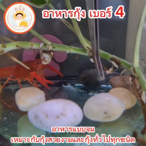 อาหารกุ้ง เบอร์ 4 สำหรับกุ้งสวยงามและกุ้งทั่วไป เครย์ฟิช กุ้งกุลา กุ้งเชอรี่ กุ้งฝอย แบ่งขาย 50 กรัม